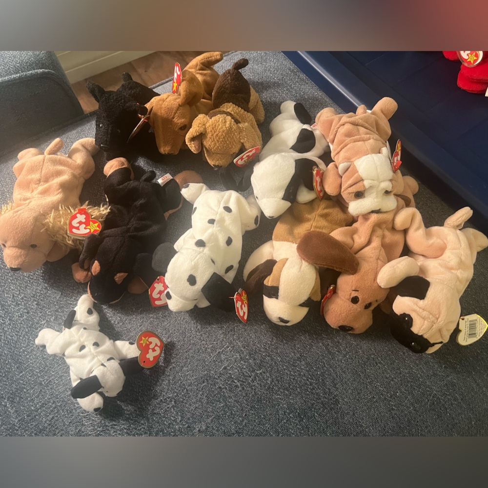Beanie Babies -Lot of 12 “Puppy” collection all with TY tags